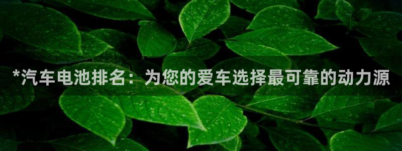 优发国际合并到哪里了
