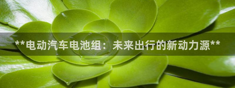 优发国际手机版下载安装