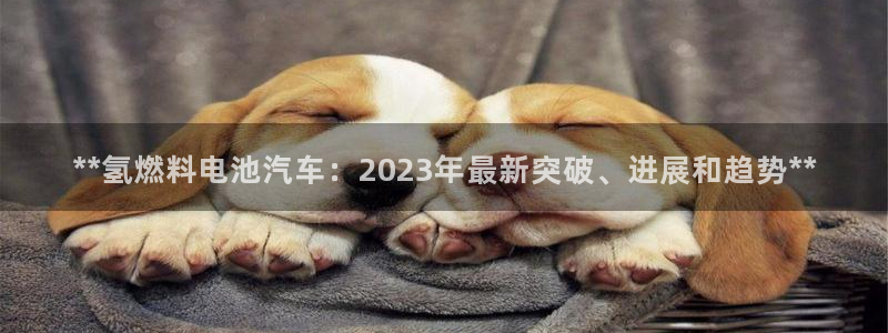 优发国际官方网手机版