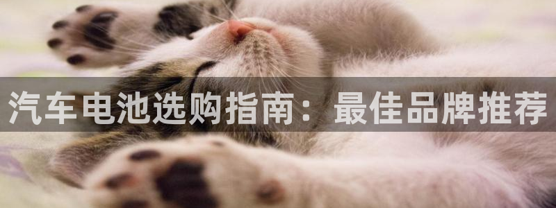 优发国际手机客户端官网首页