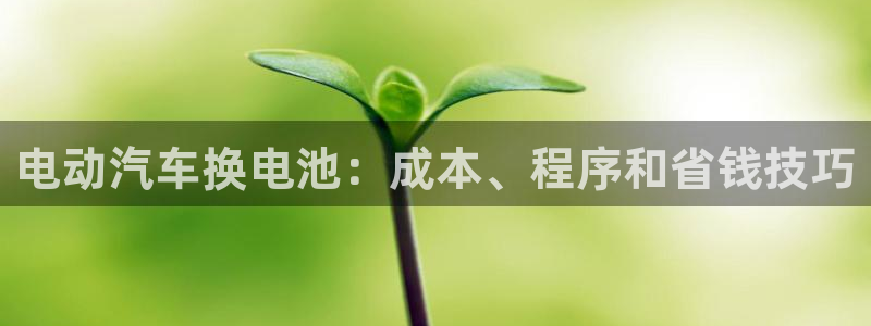 优发国际平台g80