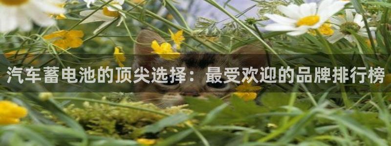 优发国际不出款怎么办