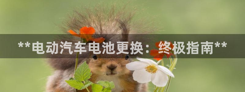 优发国际官网是多少