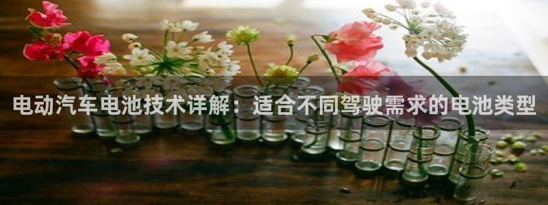 优发国际游戏官方网站入口