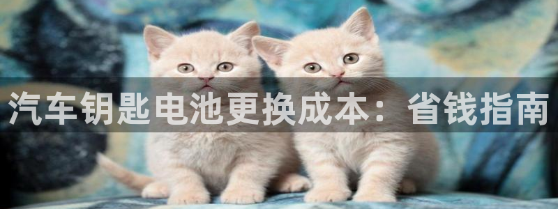 优发国际是大平台吗