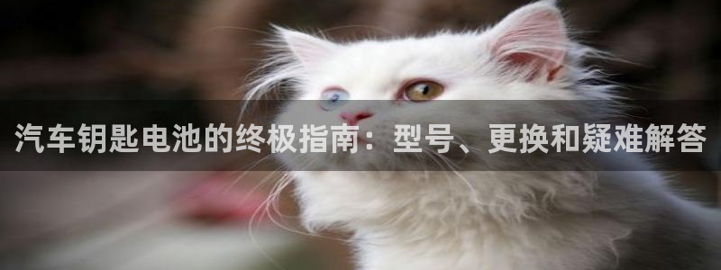 优发国际手机版下载官网：汽车钥匙电池的终极指南：型号、更换和疑难解答