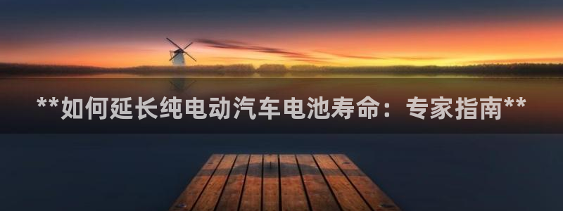 优发国际集团股份有限公司
