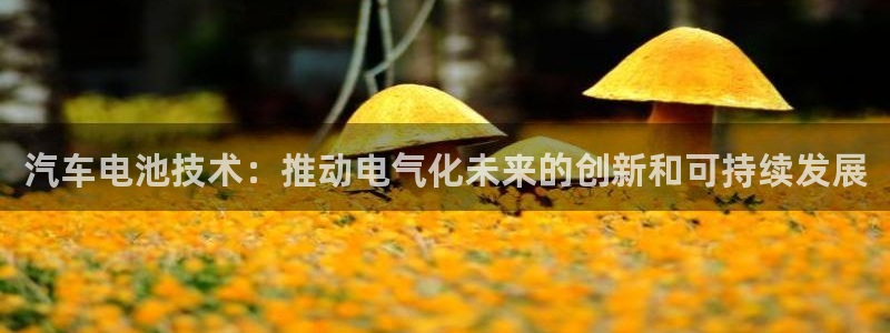 优发国际手机版客户端下载