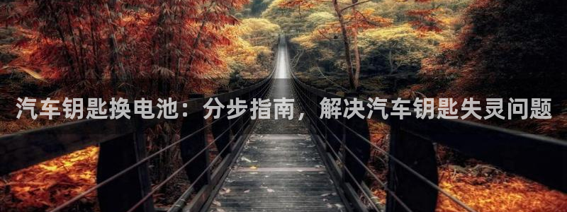 优发国际网官网17w8：汽车钥匙换电池：分步指南，解决汽车钥匙失灵问题