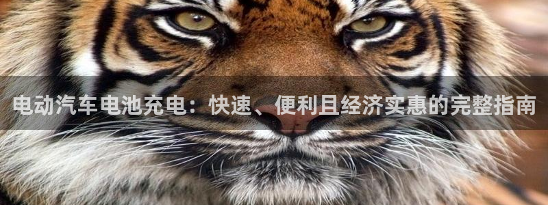 优发国际是合法的吗