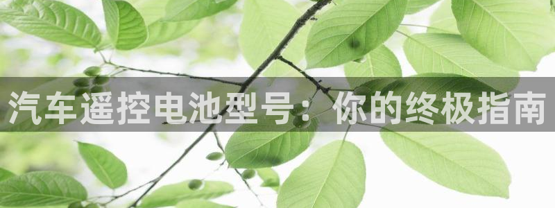 优发国际网站官网