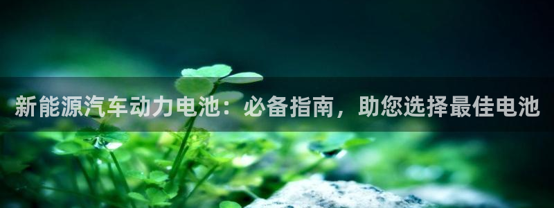 优发国际平台手机版下载安装
