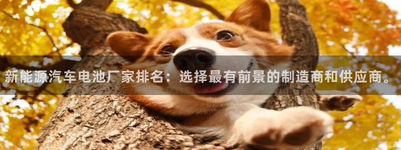 优发国际官网下载手机版