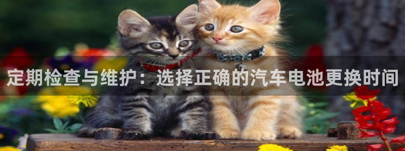 优发国际注册平台官网：定期检查与维护：选择正确的汽车电池更换时间