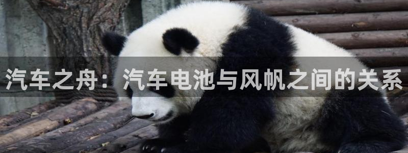 优发国际线上娱官网