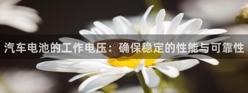 优发国际手机版官网