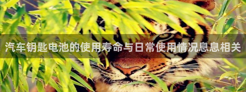 优发国际下载