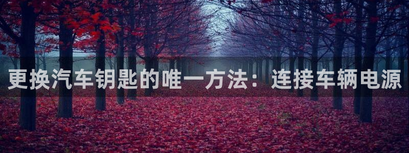 优发国际的官网是什么软件