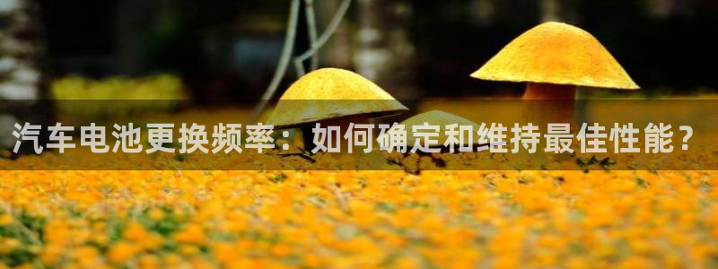 优发国际app登录不了：汽车电池更换频率：如何确定和维持最佳性能？