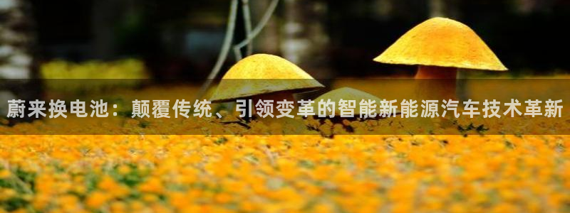 优发国际官方网手机版：蔚来换电池：颠覆传统、引领变革的智能新能源汽车技术革新