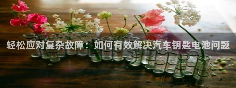 优发国际平台APP：轻松应对复杂故障：如何有效解决汽车钥匙电池问题