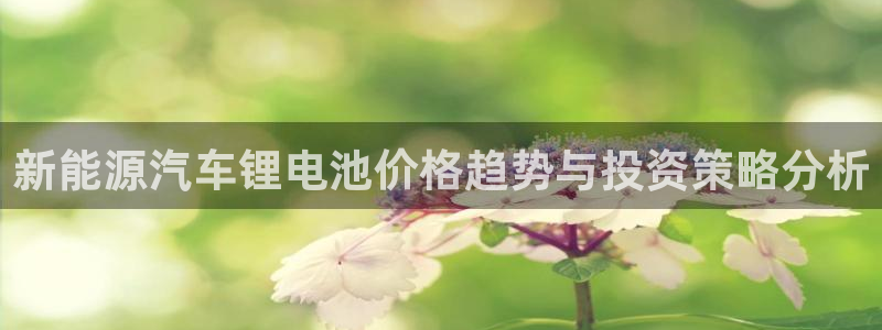 优发国际app官网下载安装苹果：新能源汽车锂电池价格趋势与投资策略分析