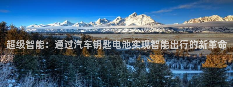 优发国际是大平台吗知乎：超级智能：通过汽车钥匙电池实现智能出行的新革命