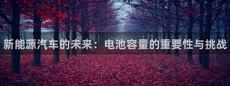 优发国际首页首页登录：新能源汽车的未来：电池容量的重要性与挑战
