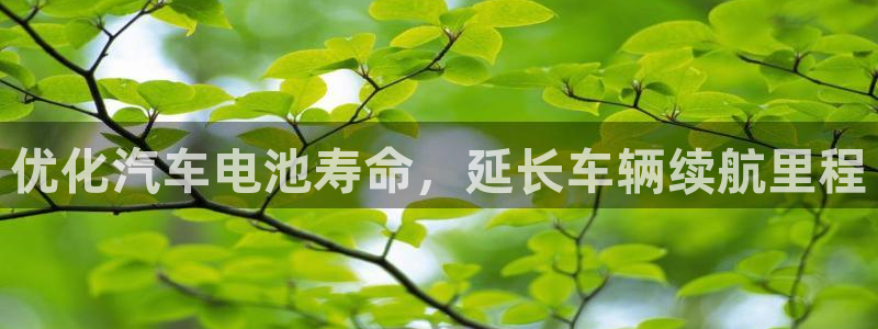 优发国际下载：优化汽车电池寿命，延长车辆