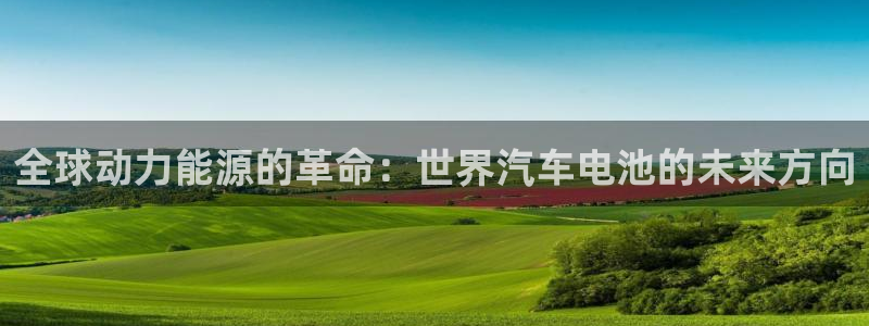 优发国际平台18岁能做吗：全球动力能源的