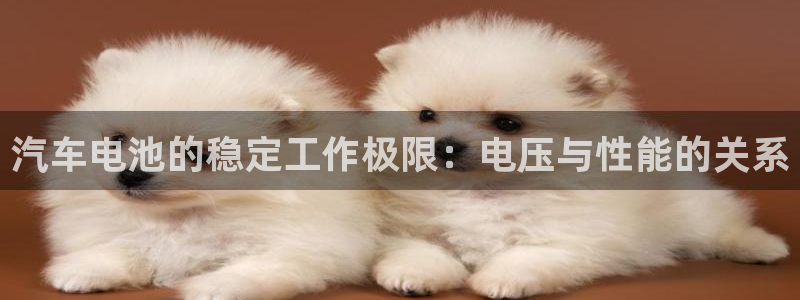 优发国际是什么