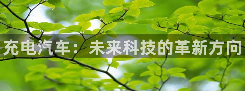 优发国际官网入口app下载安装