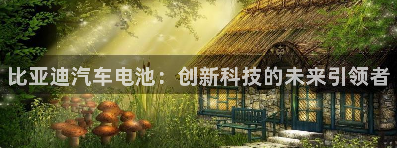 优发国际手机版唯一官网：比亚迪汽车电池：创新科技的未来引领者