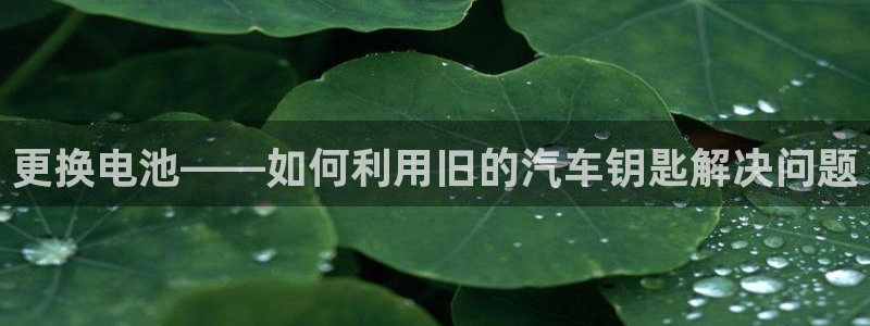 优发国际官网手机版下载