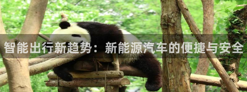 优发国际手机客户端下载安装手机版