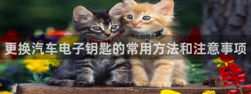 优发国际手机版唯一官网是什么