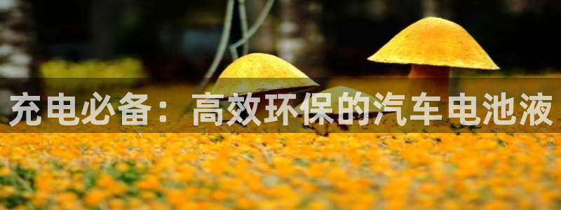 优发国际这个平台怎么样知乎