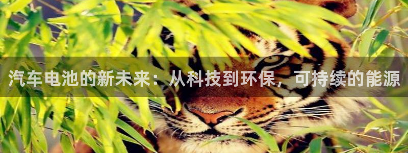 优发国际首页app