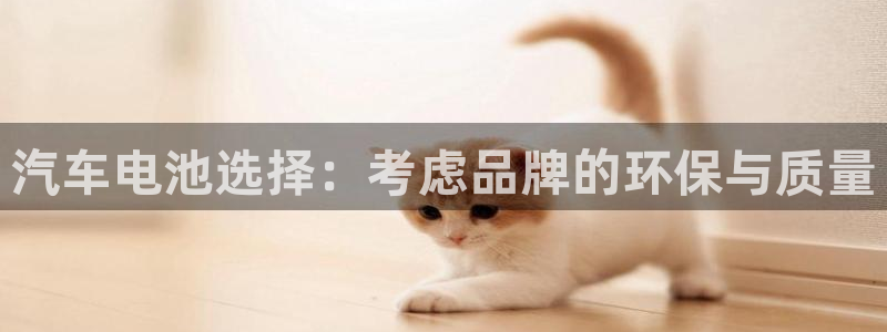 优发国际官方网平台电话：汽车电池选择：考虑品牌的环保与质量