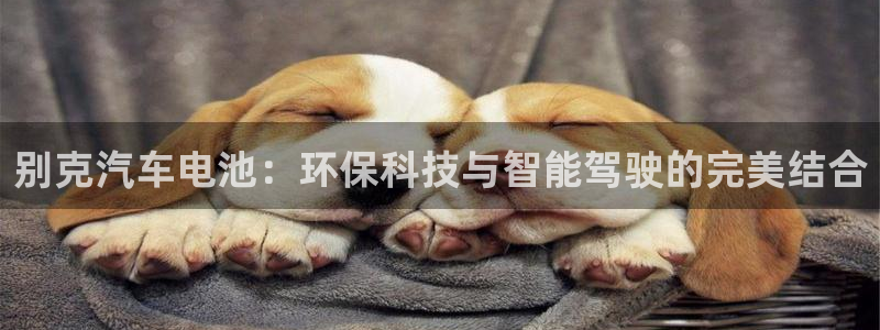 优发国际手机客户端下载安装不了