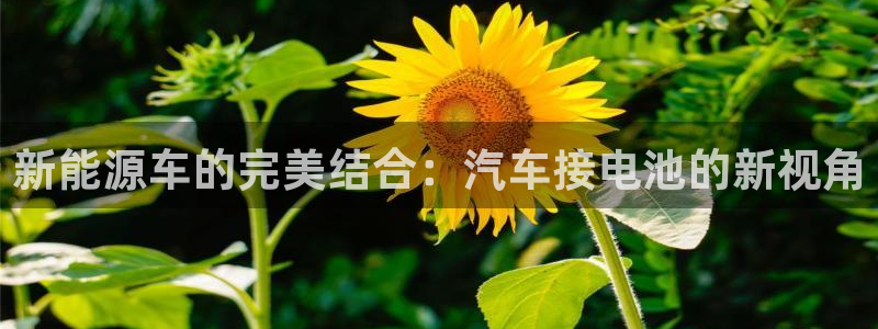 优发国际官网官方网址