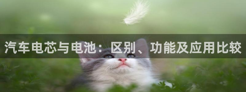 优发国际是大平台吗知乎