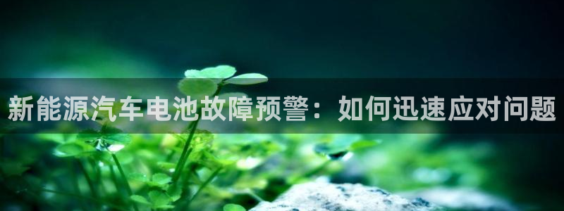 优发国际手机安装登录不了：新能源汽车电池故障预警：如何迅速应对问题