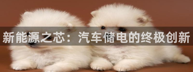 优发国际官网值是多少：新能源之芯：汽车储电的终极创新