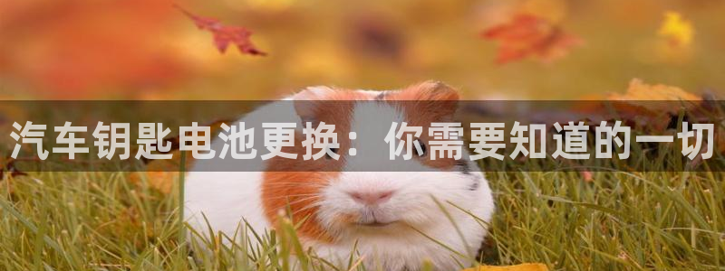 优发国际登录r8