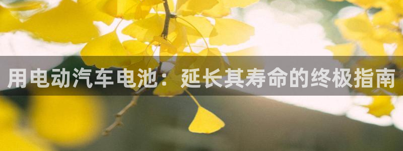 优发国际注册平台官网