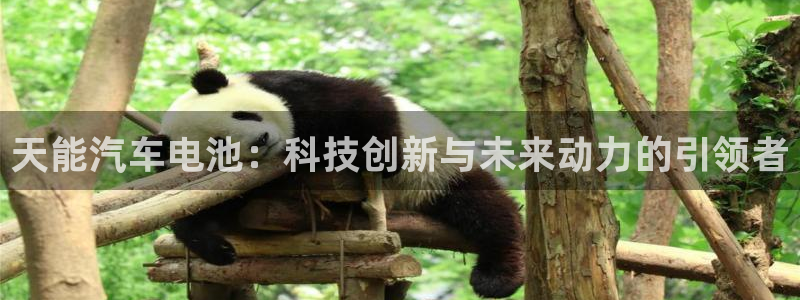 优发国际登录app