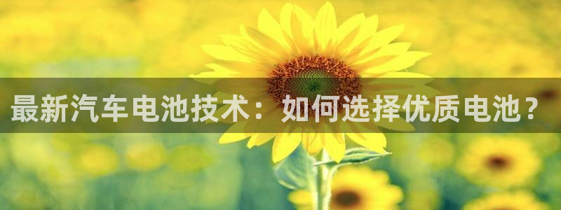 优发国际手机安装登录