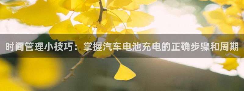 优发国际注册平台官网