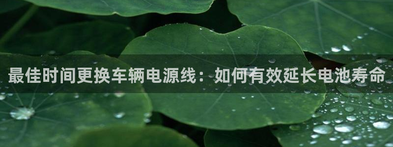 优发国际官网网站登录